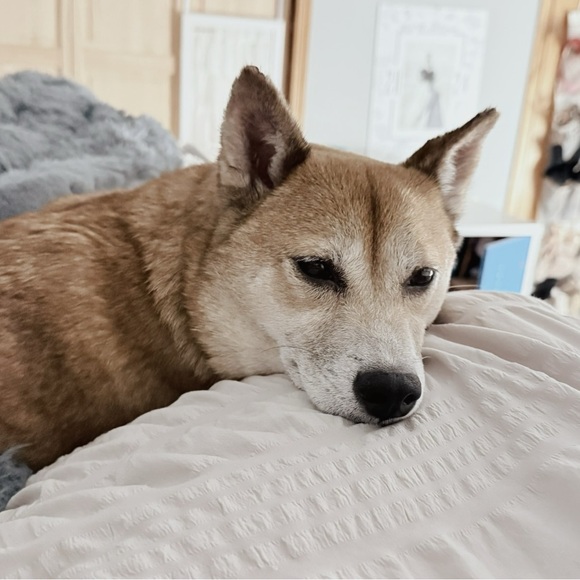 ๐ด๐๐๐ ๐ด๐โฃ๏ธโฃ๏ธ - Picture 6 of 9